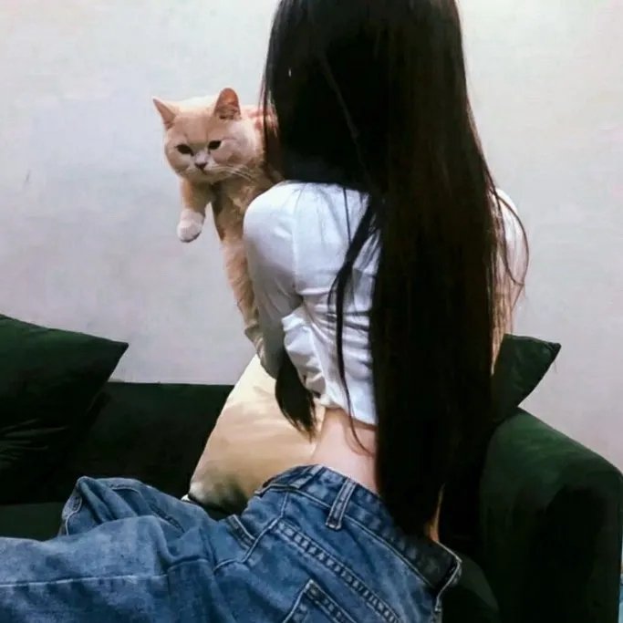 报告医妃